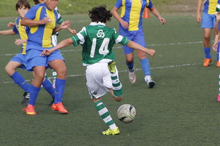 DB电竞平台登录-西班牙逆转波兰,哈兰德绝境逆转!这场足球传奇的背后,究竟藏着什么?