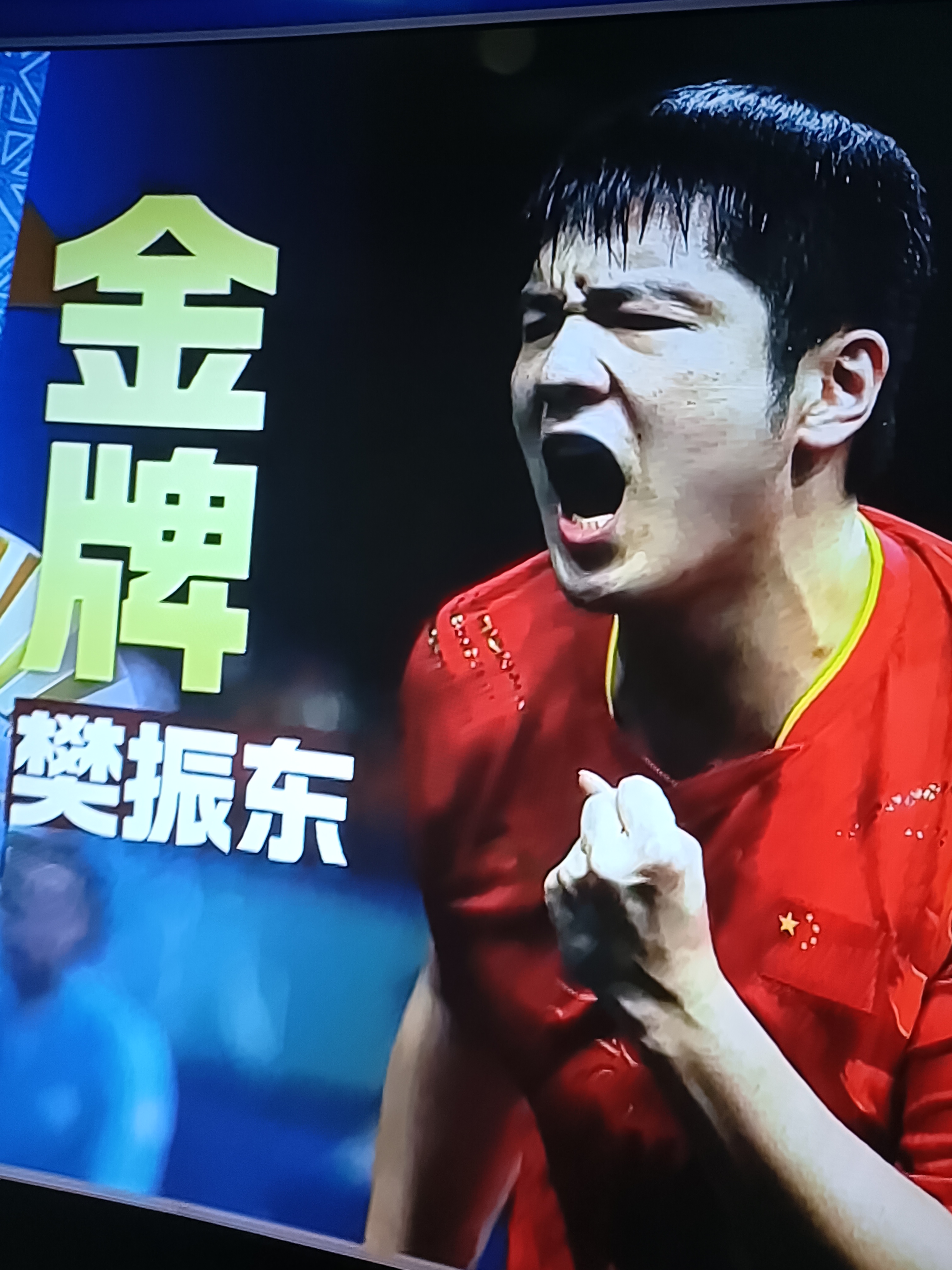 瑞典乒乓球队爆冷法国乒乓球队，樊振东制霸全场的简单介绍