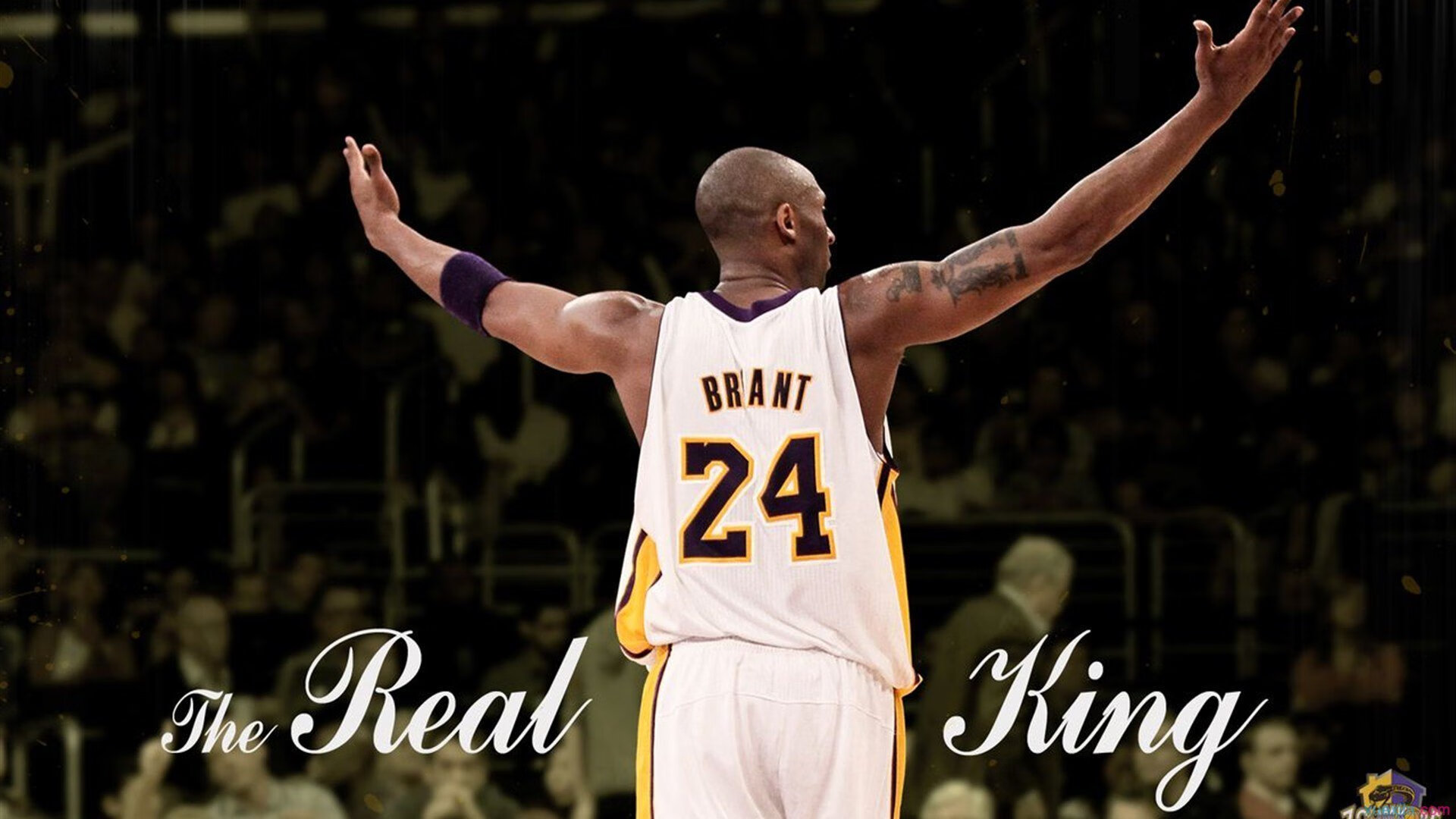 DB电竞下载-美网轻取拉沃尔杯，梅德韦杰夫高光表现背后的战术革命与心理突破